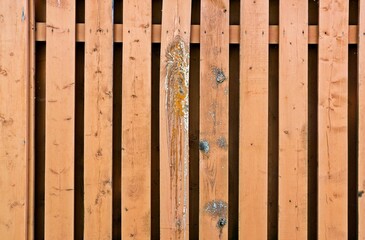 Wooden fence infected with mold