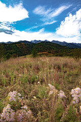 Fototapeta premium landscape with sky and clouds