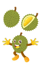 Durian vector with sliced and funny fruit character. Durian is tropical fruit from Indonesia