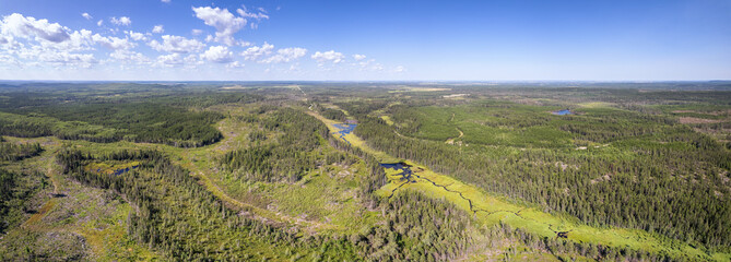 Obraz premium Aerial of wilderness forest landscape with river