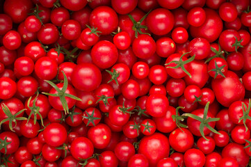 Small, delicious red cherry tomatoes in a summer tray at the market of an agricultural farm full of organic products. Fresh tomatoes, it can be used as a background