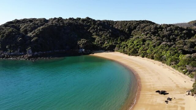 Morning at an Abel Tasman beach