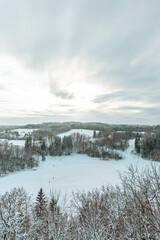 Winter forest top view. Winter view in from the lookout tower.