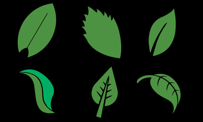 Leaf Vectors Collection