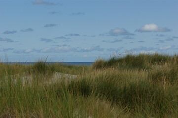 beach and grass with cloudy sky on Helgoland