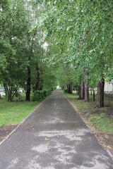 alley in the park