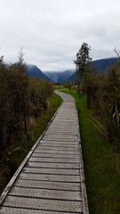 Hiking trail in New Zealand