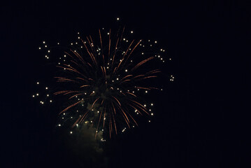 Beautiful Firework in the dark sky.