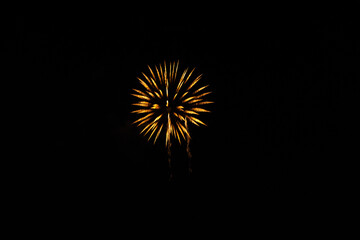 Fototapeta premium Beautiful Firework in the dark sky.