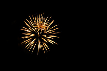 Beautiful Firework in the dark sky.