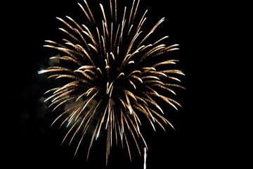 Beautiful Firework in the dark sky.