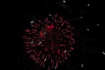 Beautiful Firework in the dark sky.
