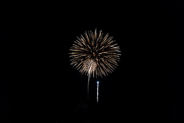 Fototapeta premium Beautiful Firework in the dark sky.