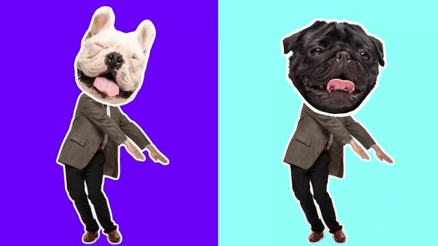 4K Minimal animation motion design. Funny dog face on dancing man. Pop and dance mood. Businessman in stop motion, 2D, modern, conceptual, contemporary pop art collage. Party, business, concept