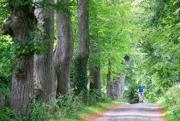 Radfahrer in alter Allee