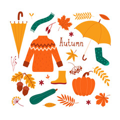 Vector autumn set of clothes, leaves, pumpkins, berries, flowers, acorns, umbrella. Flat illustration for the design of postcards, web, banner, stickers