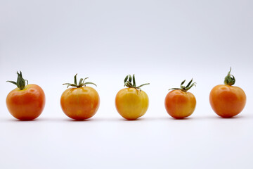 Pomodori biologici.