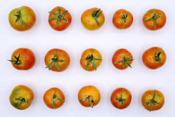 Pomodori biologici.