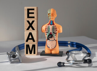Medical exam concept. Inner organs examination and check up