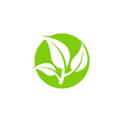 leaf logo icon design template vector