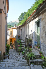 A street in the historic center of Trecchina, a old town in the Basilicata region, Italy.