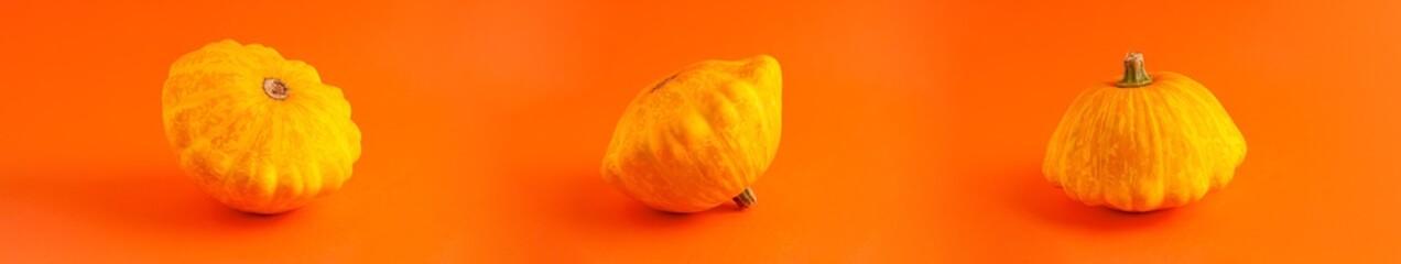 Close up banner of tree mini decorative pumpkin yellow  color on orange background with copy space. Halloween and Thanksgiving greeting card holiday concept