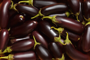 Obraz na płótnie Canvas Fresh eggplants. Food background top view.