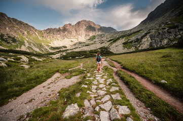 Mountain valley full of Wahlenbergovo lake and blooming flowers and a sidewalk leading to the valley. High Tatras national park , Furkotska dolina, Slovakia landscape. © Zedspider