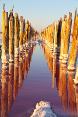Row of wooden pillars in the pink water of salt lake at sunset.