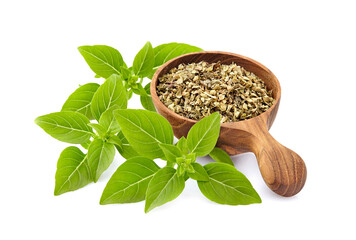 Fresh Basil leaves with dry basil in spoon in closeup on white background
