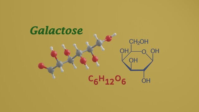 Galactose reducing sugar monosaccharide science chemical structure and model 3D rendering illustration