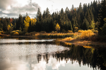 autumn landscape with lake