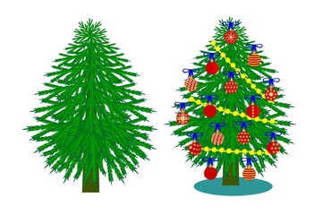 Christmas tree for Christmas and New Year, color illustration of a fir tree without decoration and decorated with New Year's balls and beads on a white background for print and design