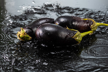 fresh eggplant on dark gray background with water splashes