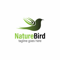 bird illustration animal design vector
