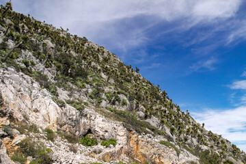 El mirador de Cuatro Palos en la Sierra Gorda de México.