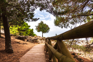Walk with wooden railings between trees in the port Las Palomas, Sierra de Cazorla.