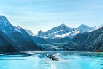 Alaska cruise travel Glacier Bay vacation. Whale watching tour concept for USA holiday destination. - 452021308