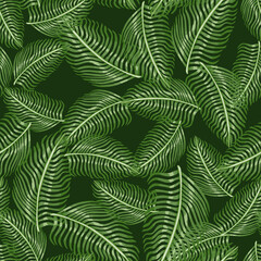 Naklejka na ściany i meble Random seamless pattern with fern leaf silhouettes exotic print. Tropical nature greenery backdrop.