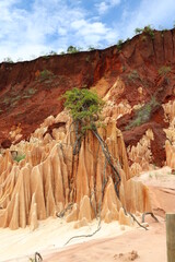 Tsingy Rouge, Madagascar