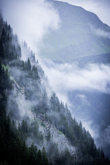 Deep clouds over the fir trees in the Austrian Alps - Vorarlberg region - travel photography