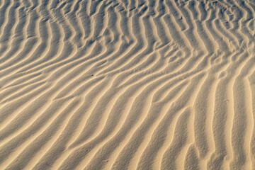 Sunset over the Sand Dunes in Jericoacoara, State of Ceara, Brazil