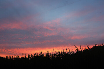 草原と夕焼けの空