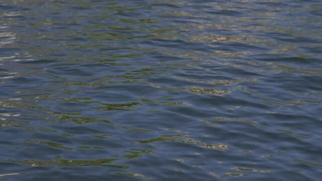 Calm Water Ripples On Lake