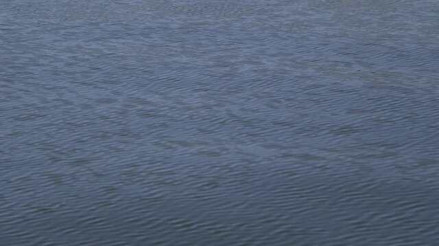 Gentle Lake Water Ripples