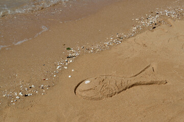 Jeu d'été sur la plage, poisson de sable
