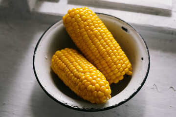 sweet ripe boiled corn on the cob lies in a metal bowl