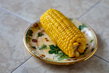 a sweet ripe boiled ear of corn lies in a plate on a bright table