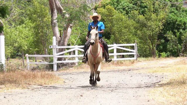 A cowboy in Costa Rica, happily riding a horse. Slow motion shot.
