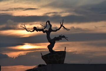 Tra le vie del centro storico di Ostuni la citt&agrave; bianca in Puglia